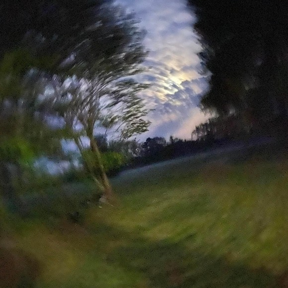 Meet your Posher, Patricia - Picture 1 of 1